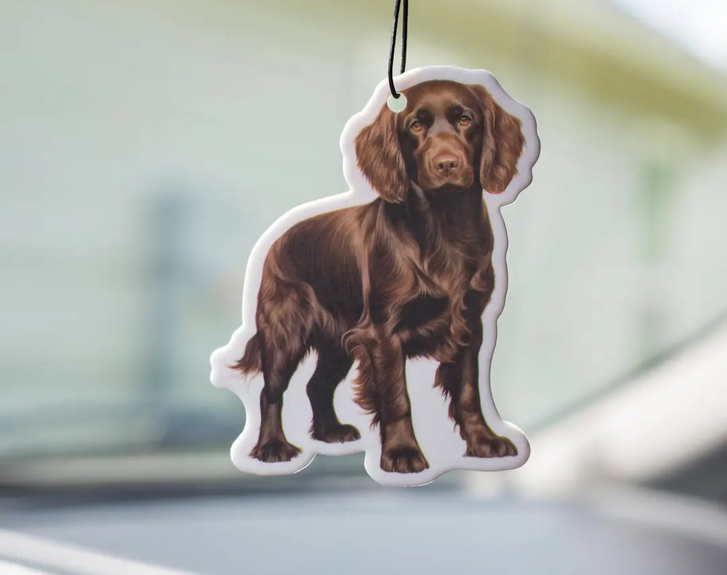 SS Air Freshener