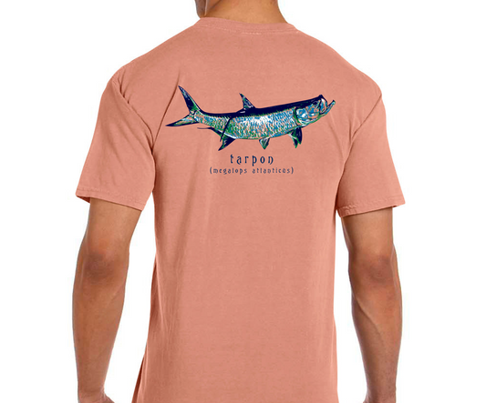 Phins Tarpon SS Tee